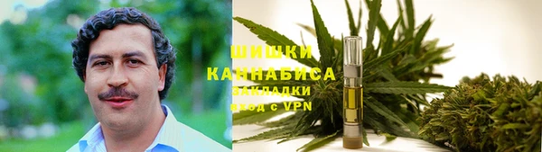 сатива Алексин