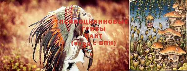 сатива Алексин