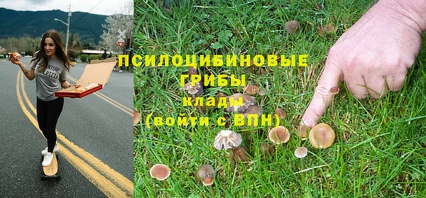 дурь Алексеевка