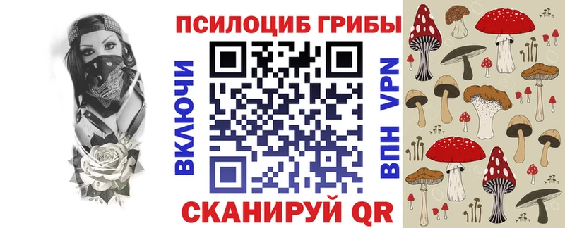 Галлюциногенные грибы GOLDEN TEACHER где можно купить Пушкино